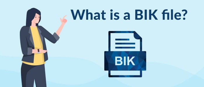 what is bik file format