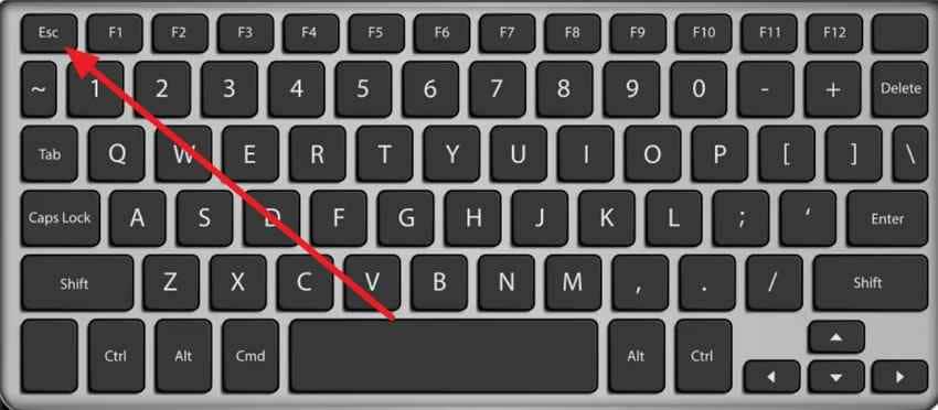 press esc for hp startup menu