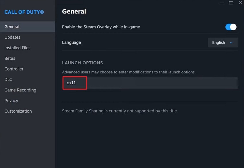 enter command in launch option