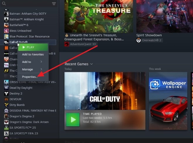 verify the game files