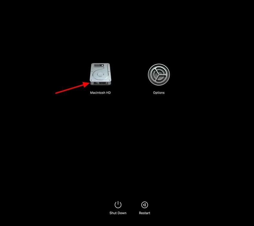 click on startup disk option