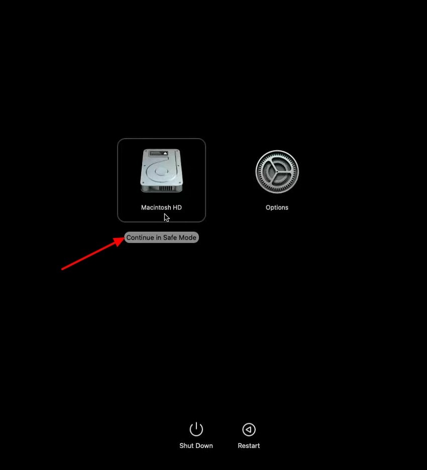 select continue in safe mode