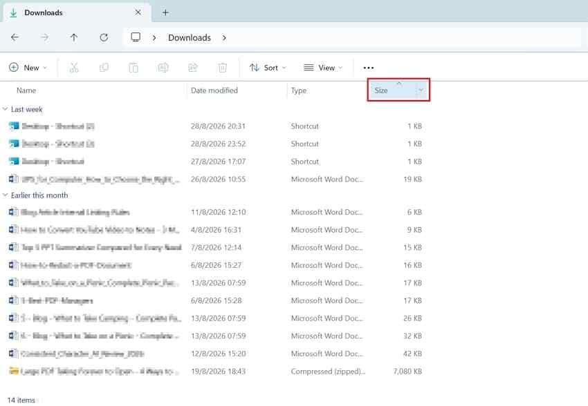 sort downloads files by size