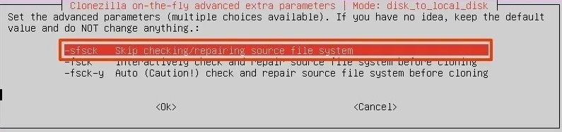 skip checking/repairing file system