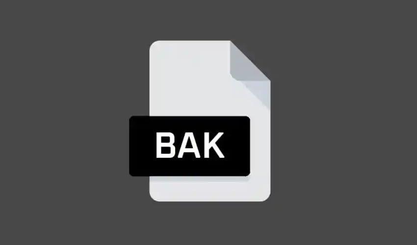 bak file icon on a gray background 