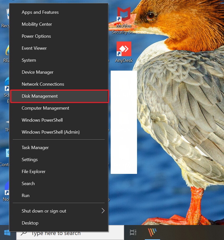 choose disk management option