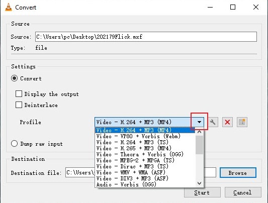 choose mp4 as output format