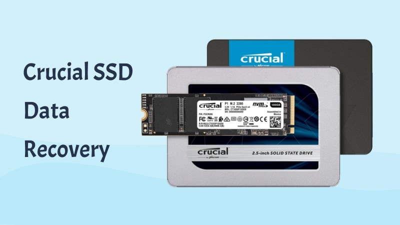 How To Recover Data From Crucial SSD [2024]