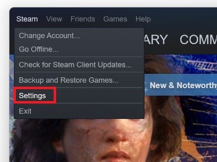 access steam settings