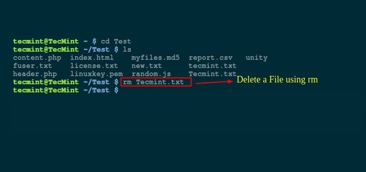 rm delete file command