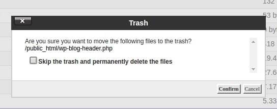 confirm the deleted file