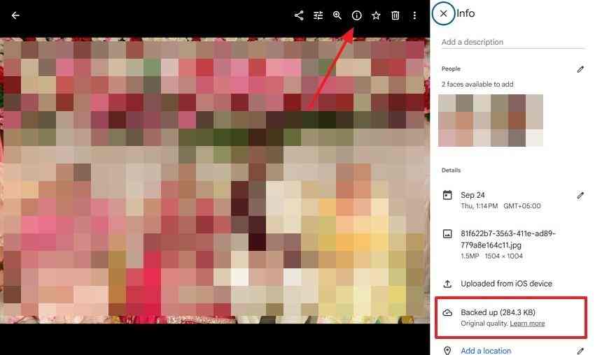 compare backup quality and picture details in the google photos information panel