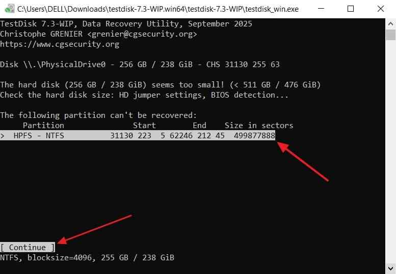 continue with found partition recovery