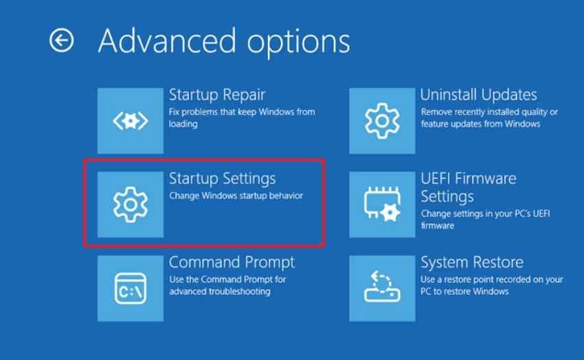 choose startup settings recovery