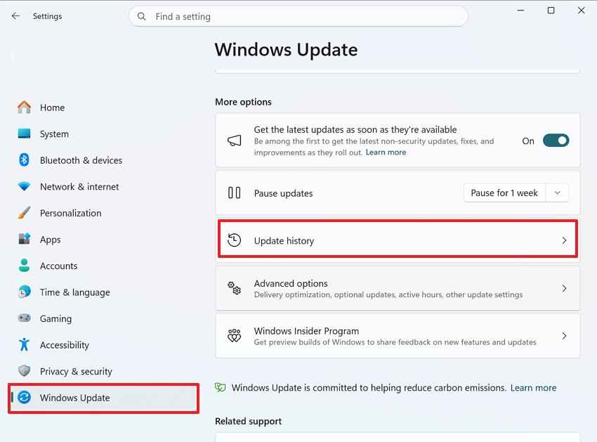check recent update history