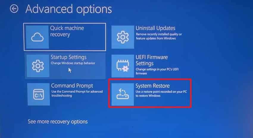 perform system restore
