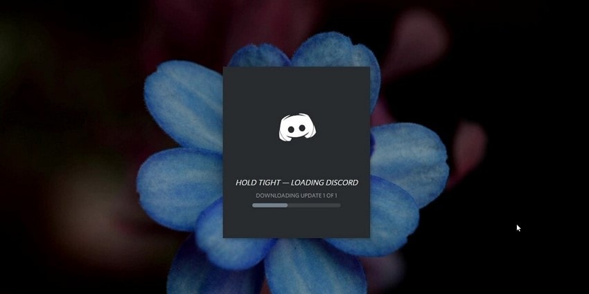 update discord latest version