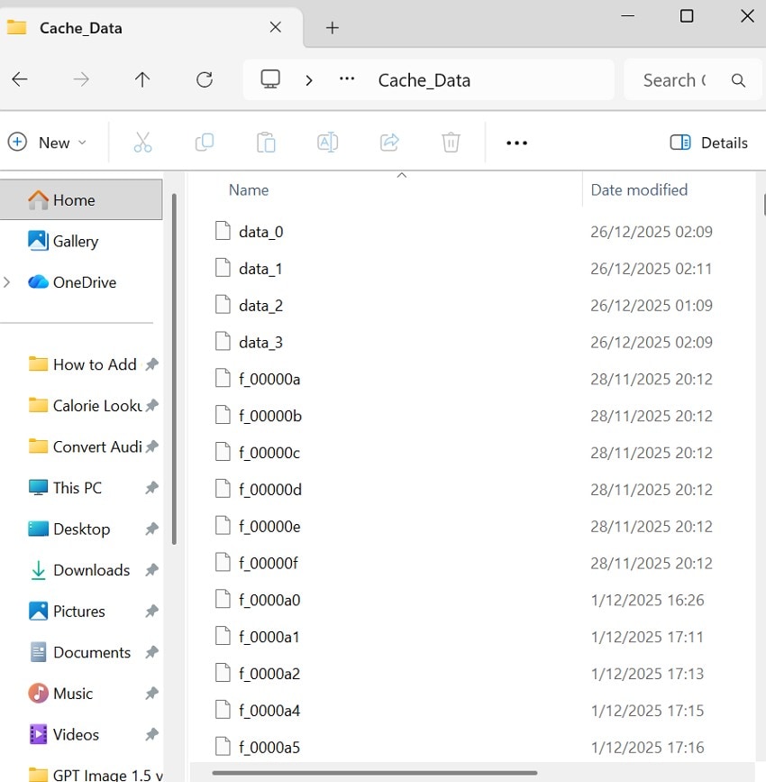 delete the cache files