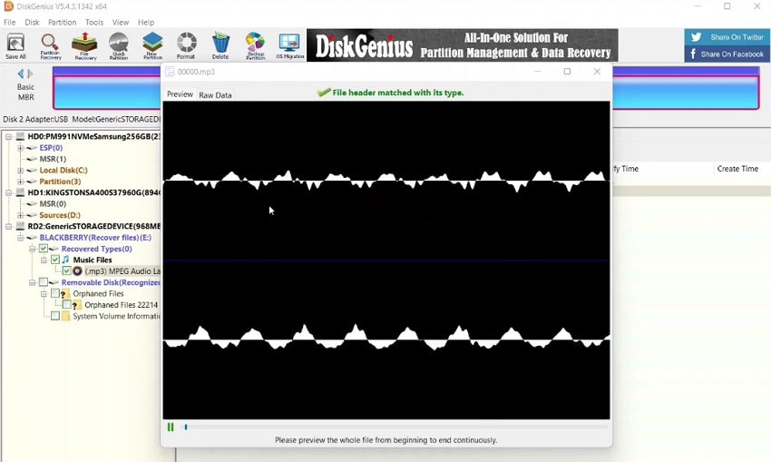 preview file within interface