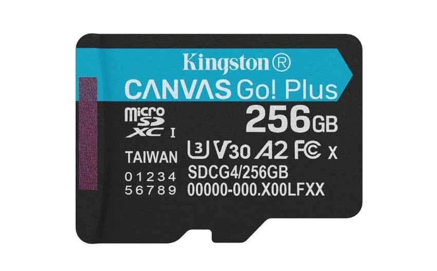 kingston canvas go plus