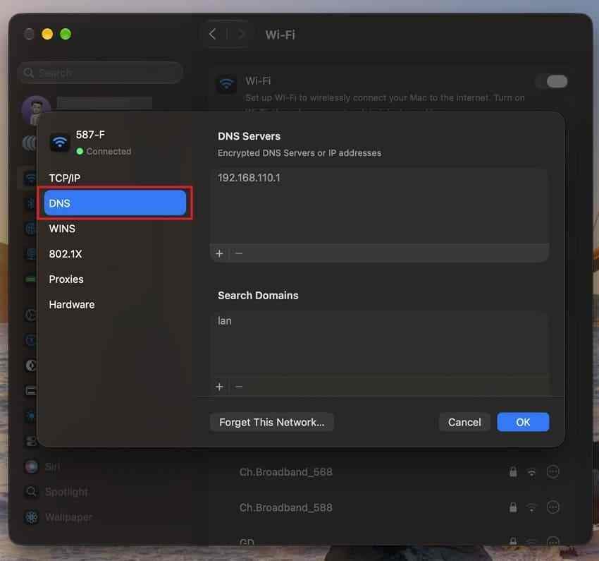 dns servers and search domains in mac wifi details