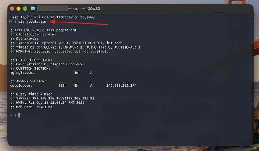 terminal showing a dns lookup with the dig command