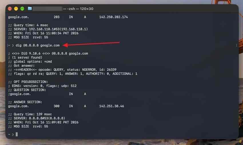 terminal comparing a domain lookup through google public dns