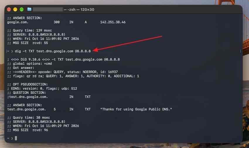 google public dns diagnostic txt response in terminal