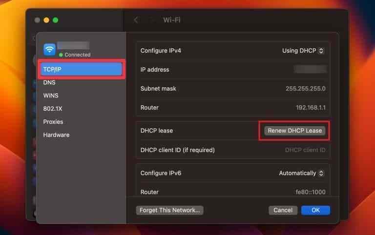 renew dhcp lease button in mac tcp ip settings