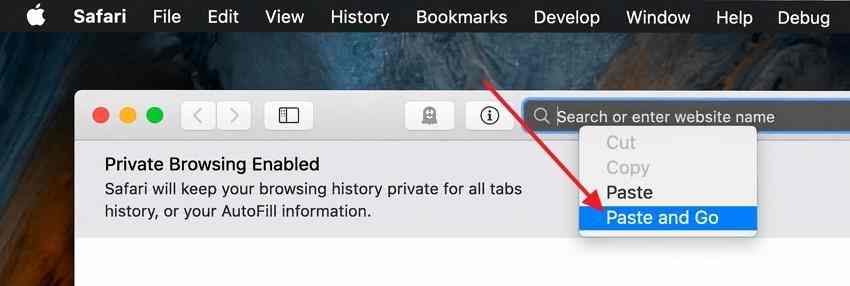 opening the same website address in safari on mac