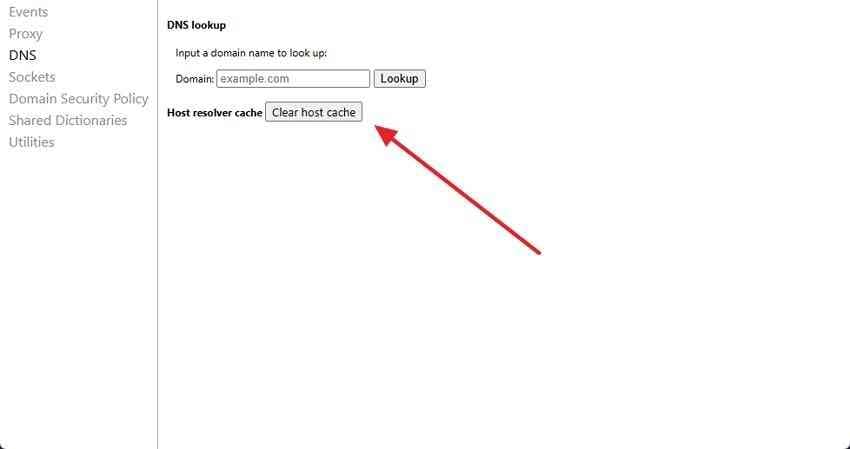 clear host cache control in chrome dns diagnostics
