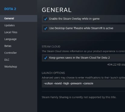 set game launch options