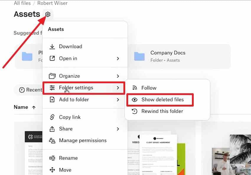 show deleted files within a dropbox folder