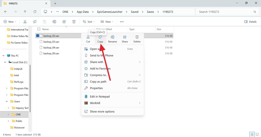 copy the save file manual backup