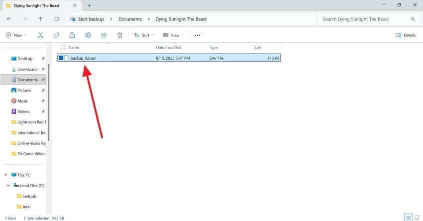 paste the save file manually