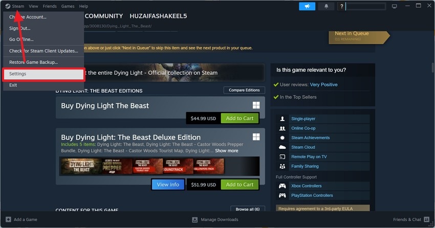 select steam settings