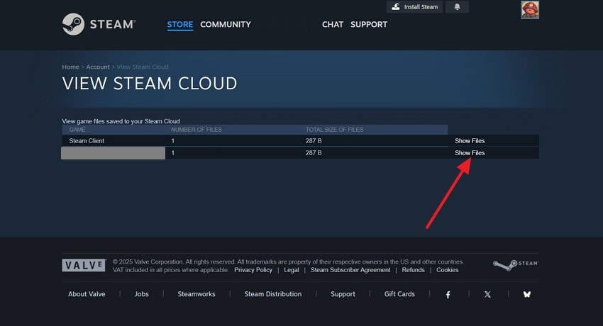 view files in the steam cloud