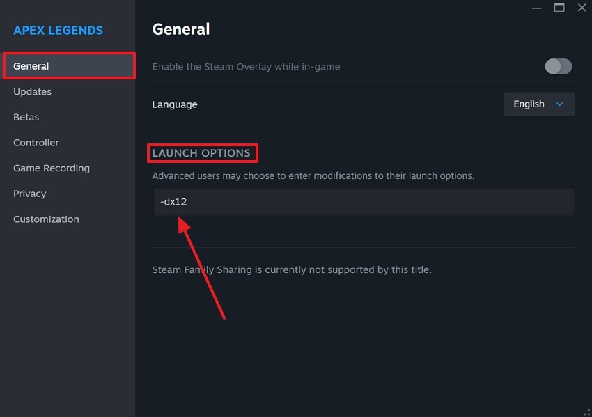 enter -dx12 as launch option