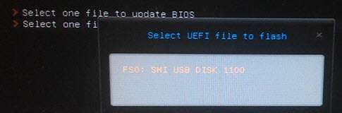 select one file to update bios