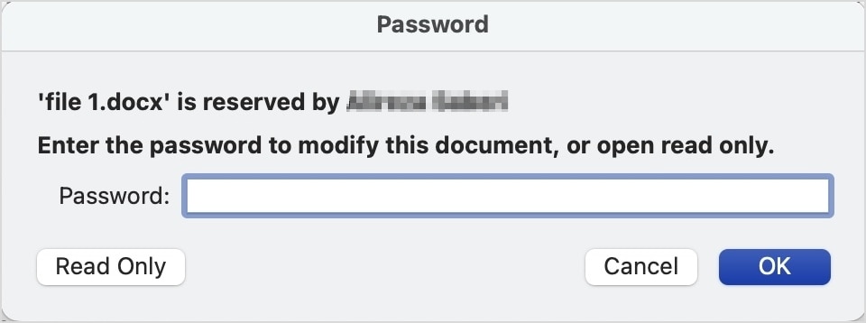 inserire la password per modificare il documento word