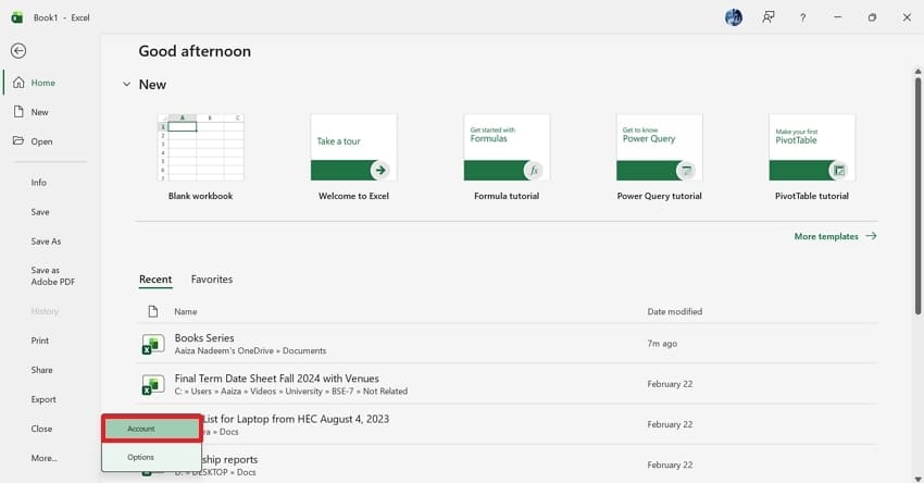 open excel worksheet account