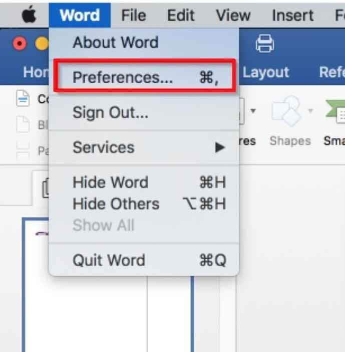 access the mac word preferences 