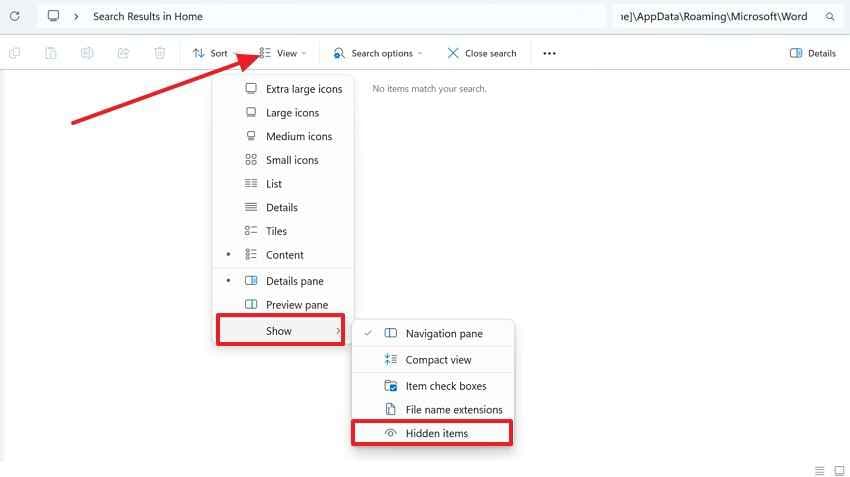 show hidden windows files 
