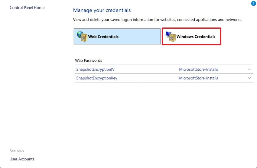 pick the windows credentials option