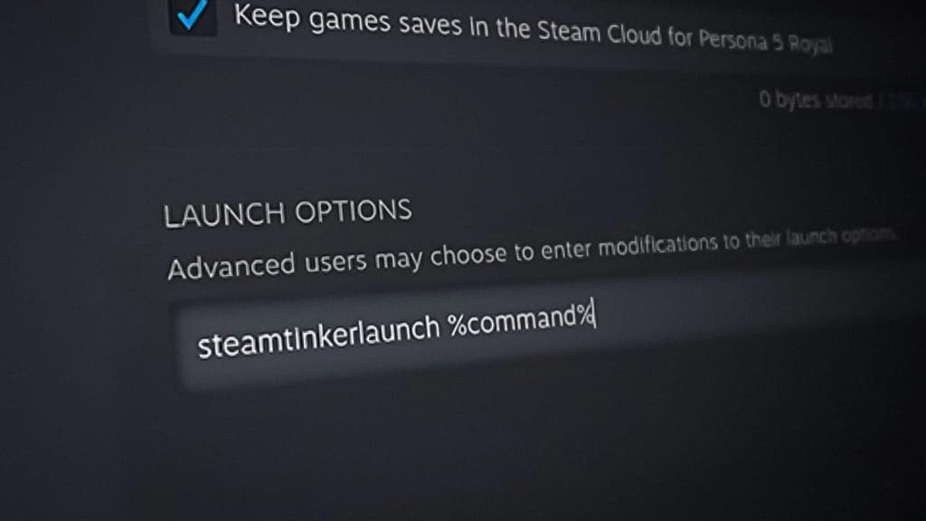 steam game properties launch options field