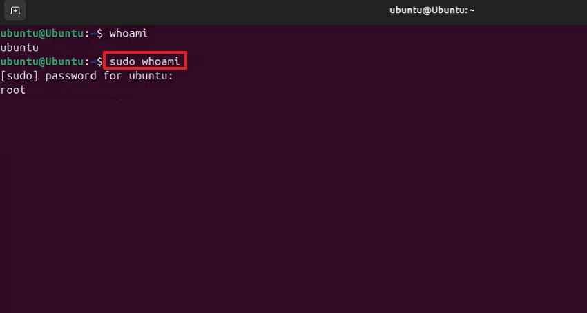 verify sudo access terminal