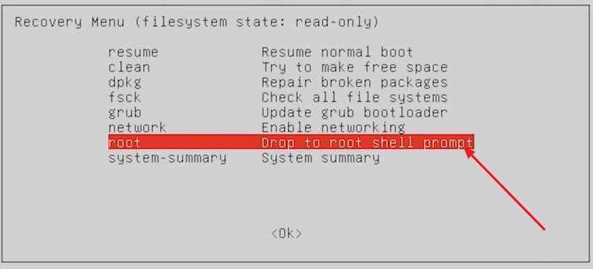 choose root shell prompt