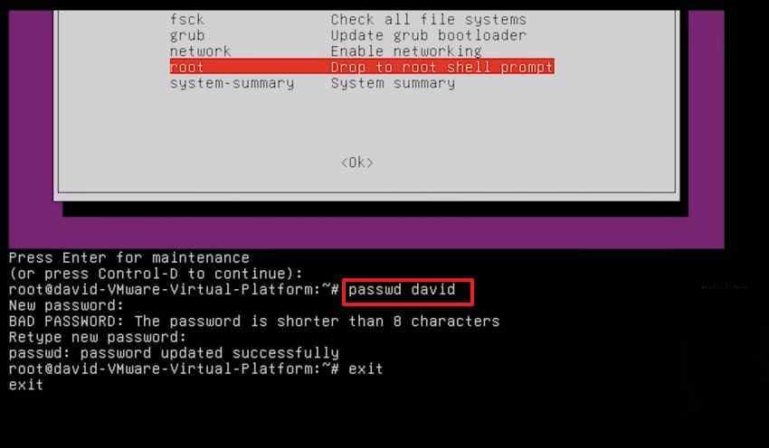 reset ubuntu password command