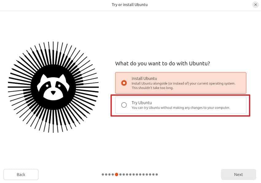 choose try ubuntu usb