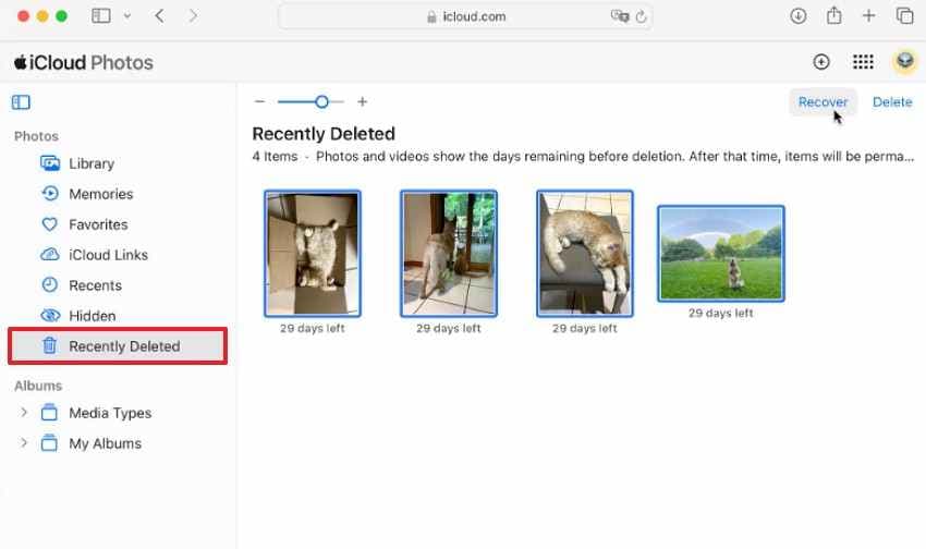 check recently deleted folder
